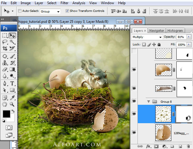 hippo, photoshop, nest, egg, shell, flying hippo, cute, baby, wings, hippopotamus, feathers